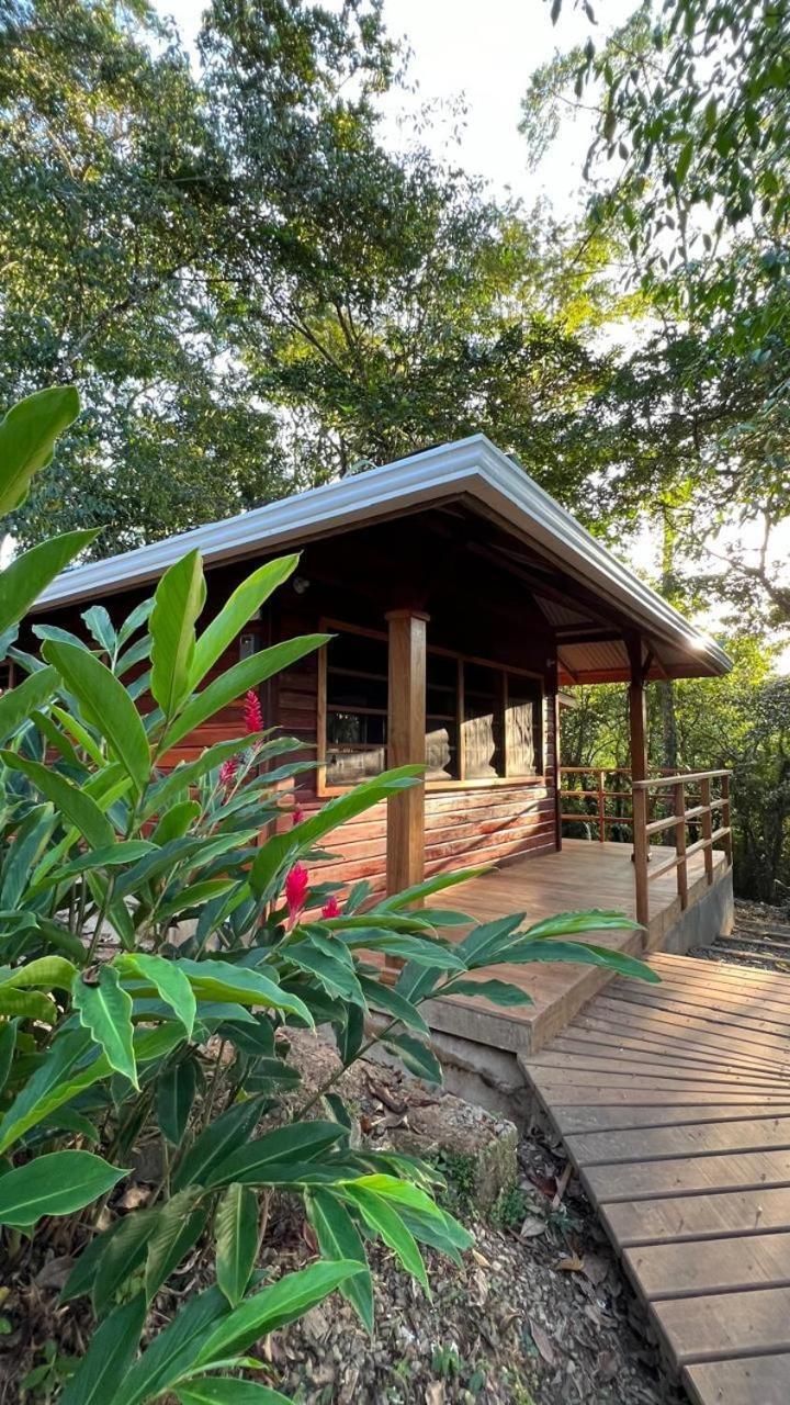 Akwaba Lodge The Gap エクステリア 写真