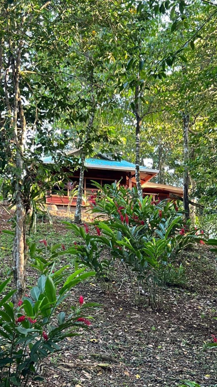 Akwaba Lodge The Gap 部屋 写真